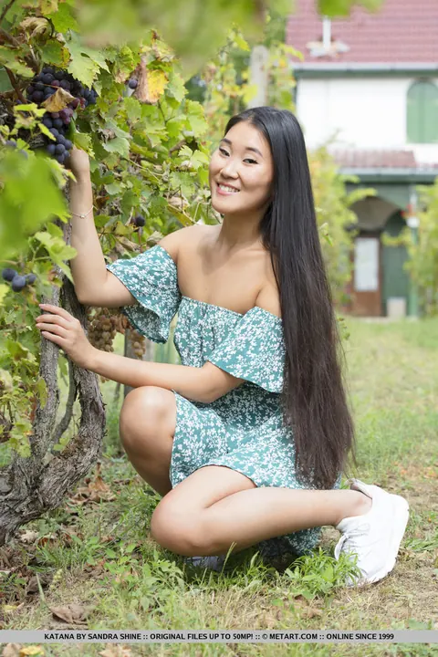 Katana: Asian Brunette Lifts Her Skirt and Spreads in the Backyard – photo 2 of 18