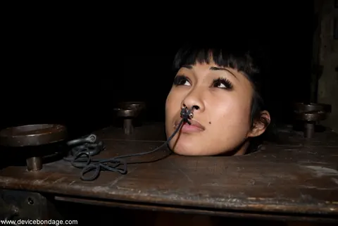 DragonLily: Asian Brunette in Bondage Sucks Cock and Takes a Dildo – photo 8 of 21