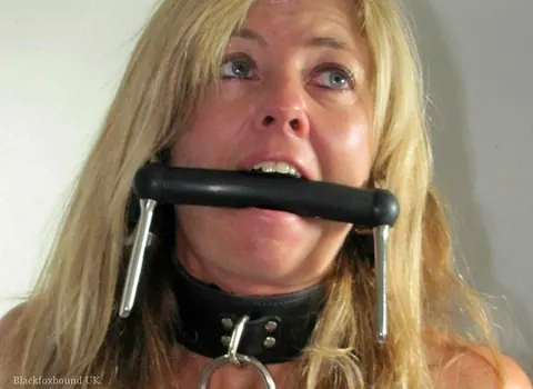 Bound Blonde MILF in Lingerie Spreads Her Legs in Restraints – photo 9 of 14