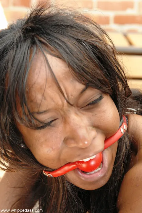 Natali Demore: Busty Ebony and Petite Redhead Lesbians Strap-On Play Outdoors – photo 14 of 20