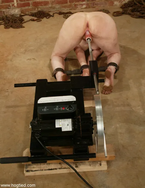 Thick Woman Bound and Dildo-Fucked on All Fours – photo 7 of 13
