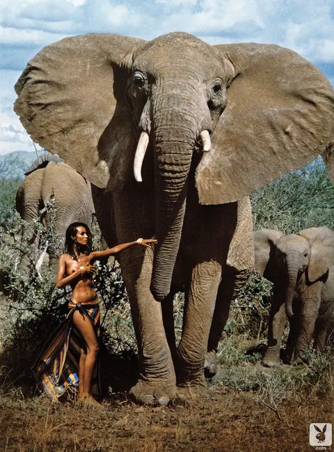 Iman: Tall African Brunette in a Bikini and Skirt Strips in the Forest – photo 3 of 12