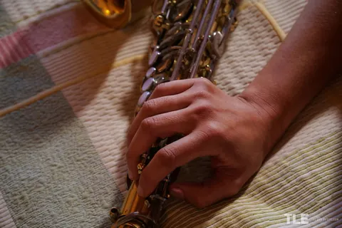 Gaia Sofia: Hairy Latina Inserts a Saxophone Then an Anal Toy – photo 2 of 16