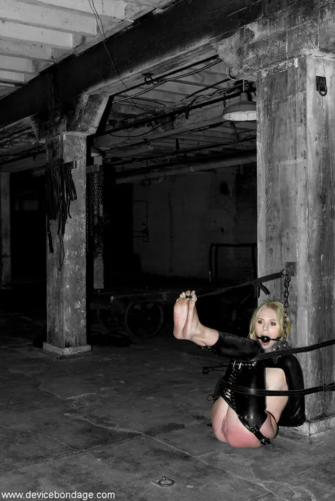 Claire Adams: Blonde, Brunette and Redhead in Latex Share Bondage, Anal and Toys – photo 1 of 20