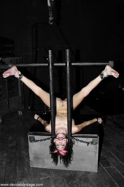 Kayden Faye: Brunette PAWG in Bondage Spreads and Takes a Huge Dildo – photo 2 of 21