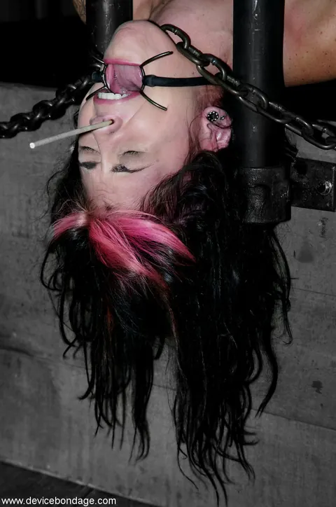 Kayden Faye: Brunette PAWG in Bondage Spreads and Takes a Huge Dildo – photo 10 of 21