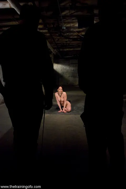Dana DeArmond: Brunette with Enhanced Tits Gets Tied Up in Bondage Session – photo 2 of 21