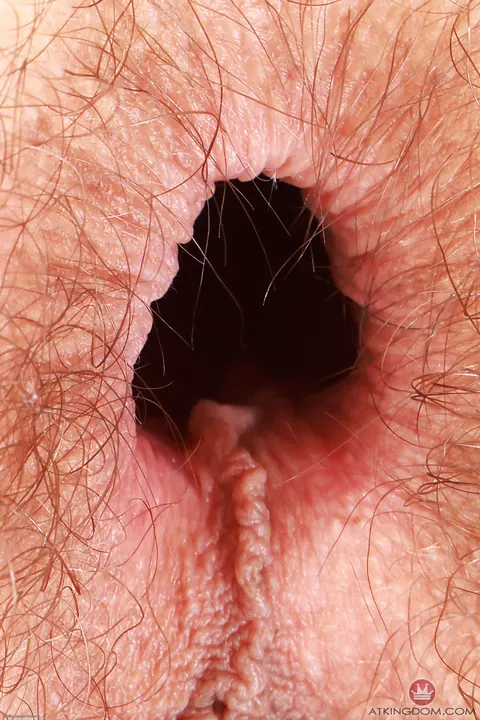 Sia Wood: Slim Brunette Shows Her Hairy Pussy and Asshole Close-Up – photo 14 of 20