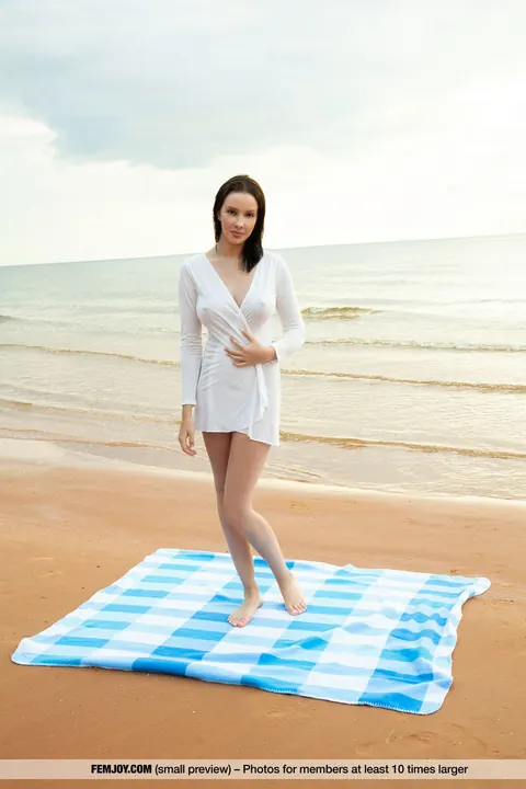 Thick Brunette Spreads Her Shaved Pussy on a Beach Blanket – photo 1 of 16