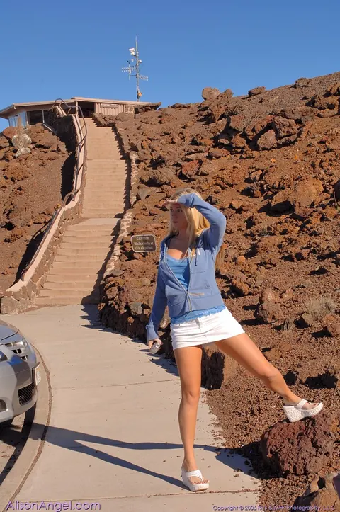 Alison Angel: Tall Blonde Flashes Her Big Natural Tits and Spreads Outdoors – photo 6 of 20