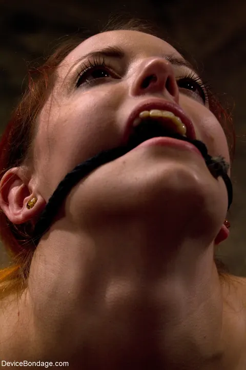Sloane Soleil: Redhead in Bondage Takes a Dildo and Gets Fucked – photo 16 of 21