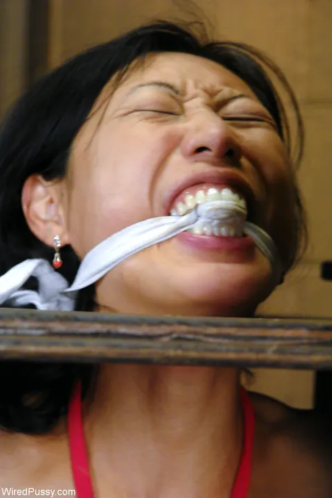 Bobbi Starr: Thick Asian Lesbians in Panties and Socks Play with a Dildo and Bondage – photo 12 of 21