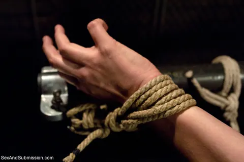 Bobbi Starr: Hairy MILF in Bondage Takes Anal and a BDSM Cum Finish – photo 2 of 20