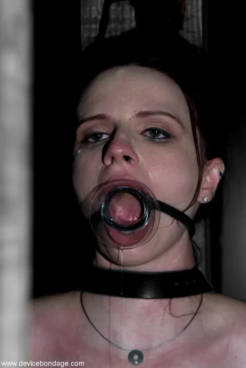 Claire Adams: Two Latina Brunettes in Bondage Spread Their Shaved Pussies – photo 7 of 14