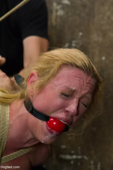 Dee Williams: Busty Blonde MILF Bound and Toyed by Her Partner – photo 17 of 21