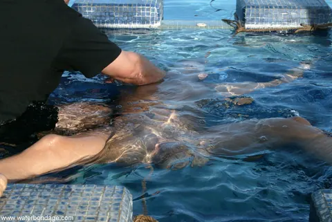 Jenny Lee: Slim Brunette MILF Bound for Dildo Play by the Pool – photo 16 of 20