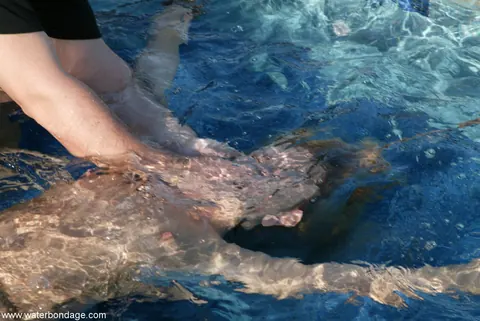Jenny Lee: Slim Brunette MILF Bound for Dildo Play by the Pool – photo 13 of 20
