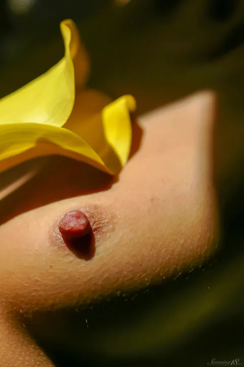 Woman with Small Tits Poses and Spreads Her Legs Wide – photo 6 of 21