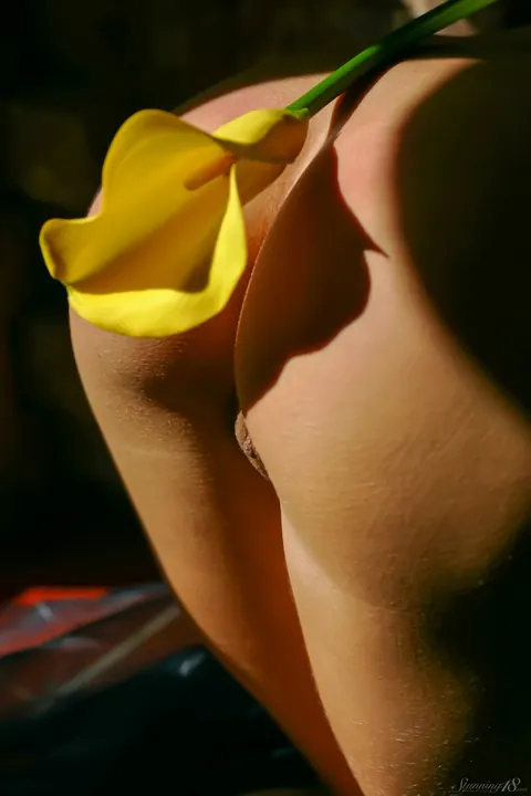 Woman with Small Tits Poses and Spreads Her Legs Wide – photo 20 of 21