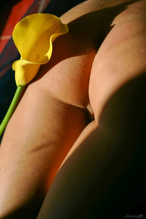Woman with Small Tits Poses and Spreads Her Legs Wide – photo 18 of 21