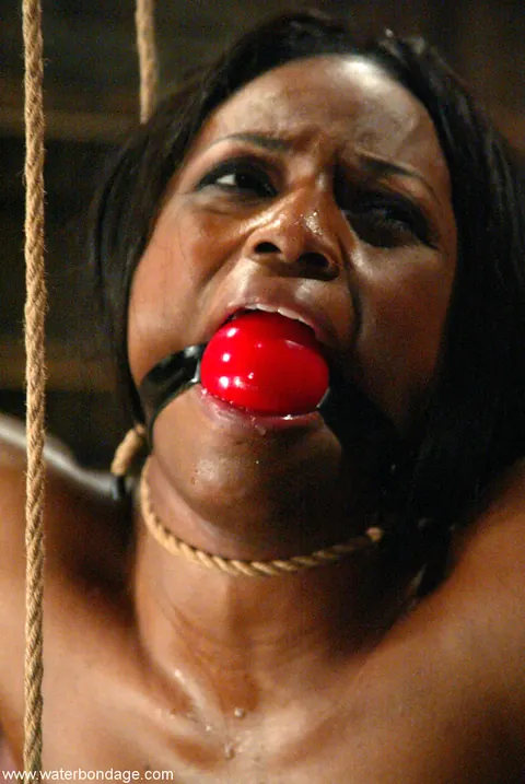 Jada Fire: Petite Ebony MILF with Big Tits Spreads Her Bound Legs Outdoors – photo 14 of 21