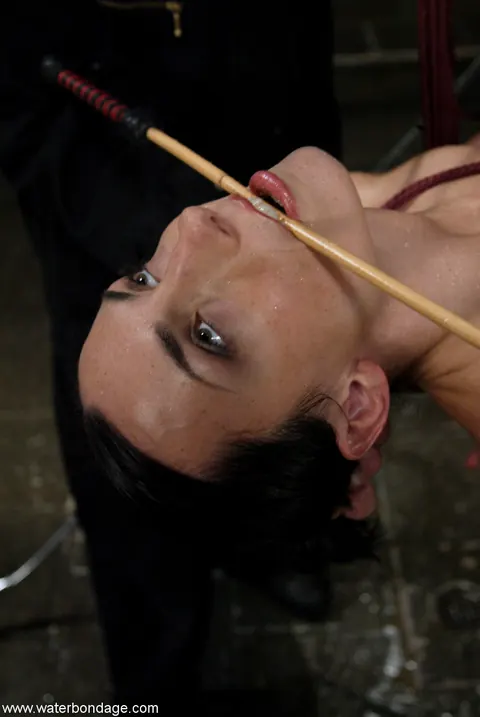 Wenona: Tall Brunette Submits to Bondage Restraints Nude – photo 16 of 21