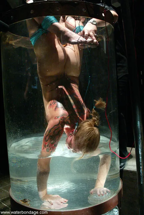 Bound Woman Spreads Her Shaved Pussy Outdoors – photo 12 of 21