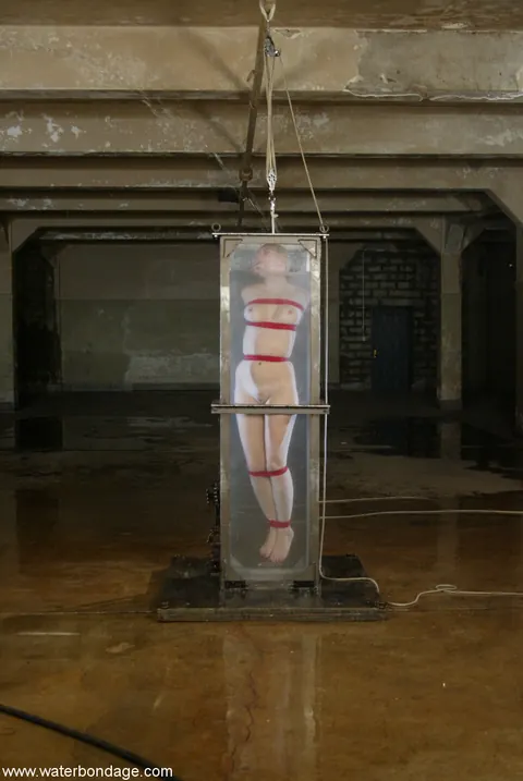 Annette Schwarz: Tall German Blonde Submits to Bondage – photo 14 of 21