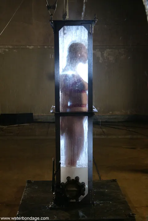 Annette Schwarz: Tall German Blonde Submits to Bondage – photo 5 of 21