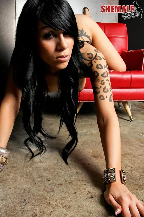 Busty Trans Woman Drops Her Lingerie and Poses Nude – photo 13 of 16