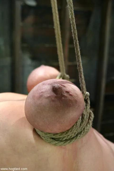 Dee Williams: Blonde with Enhanced Tits Bound in Rope Bondage – photo 15 of 20