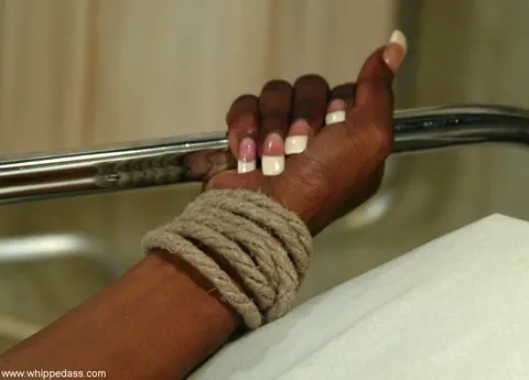 DragonLily & Stacey Cash: Petite Ebony MILF Dominates Bound Asian Woman – photo 1 of 20