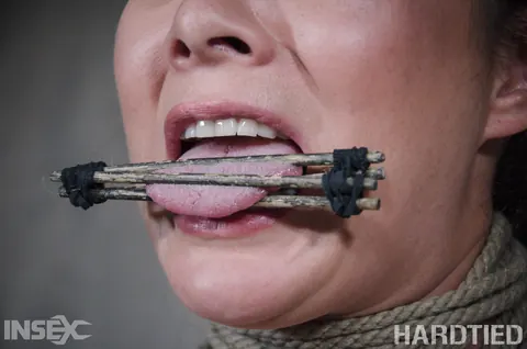 Nyssa Nevers: Two Asian Brunettes Submit to Bondage and Lick Each Other in a Dungeon – photo 8 of 14