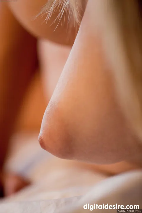 Macy Cartel: Blonde Babe with Small Natural Tits Poses Nude Showing Her Tattoo – photo 11 of 21