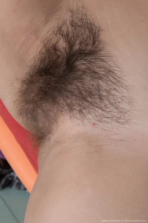 Adele Siemens: Russian Brunette Shows Her Hairy Bush – photo 16 of 17