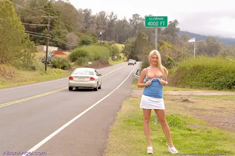 Alison Angel: Tall Blonde Babe Flashes Her Big Tits by the Car – photo 8 of 20