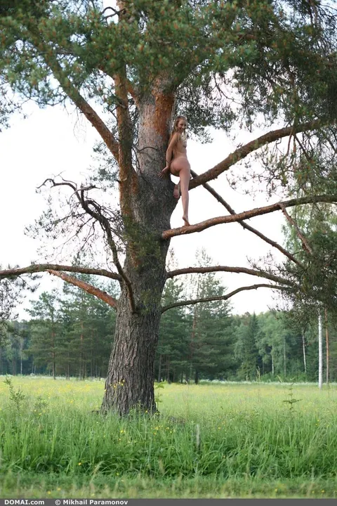 Slim Babe with Big Ass Spreads Her Pussy in the Forest – photo 13 of 20