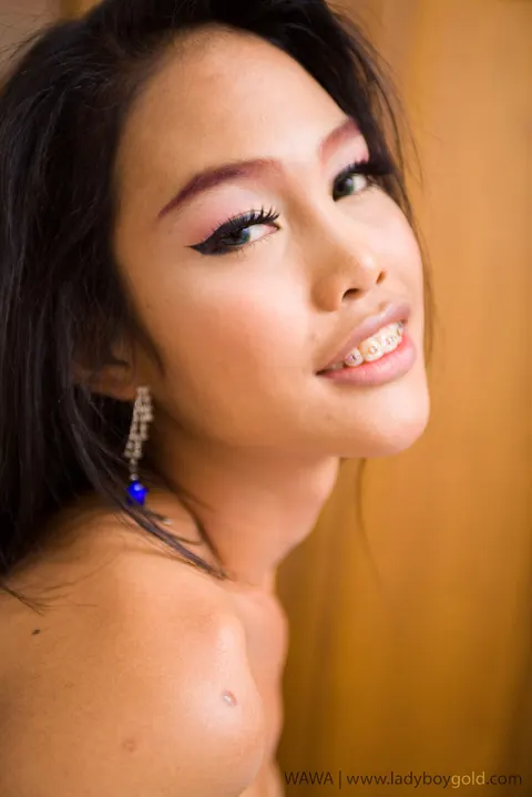Asian Trans Woman Poses in Fishnet and Reveals Her Body – photo 15 of 16