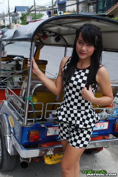 Thai Woman Undresses and Poses Nude for the Camera – photo 4 of 17