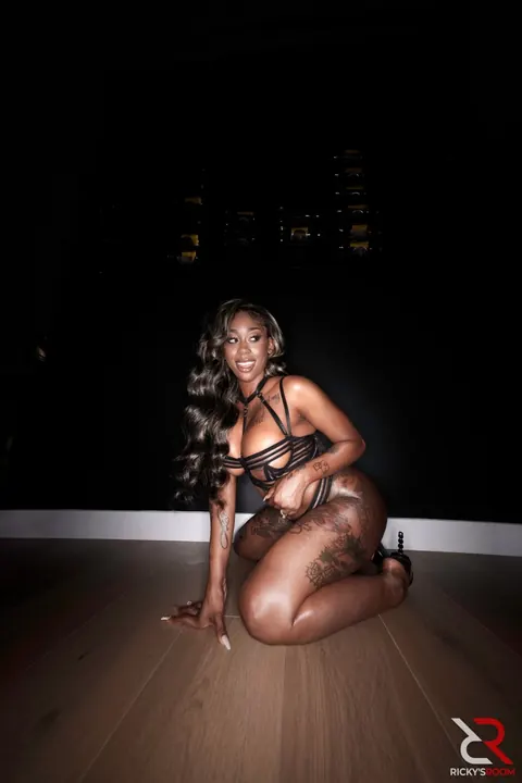 Busty Ebony Brunette Poses in Lingerie Showing Her Tattoos – photo 8 of 20