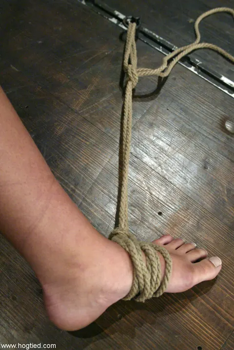 Celina Cross: Busty Latina Brunette in Hogtied Bondage Plays with a Dildo – photo 2 of 21
