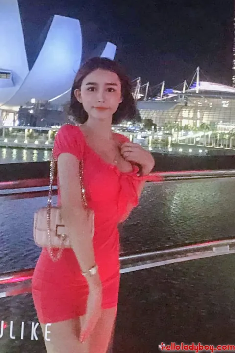 Asian Trans Woman Stands Nude and Poses for the Camera – photo 18 of 20