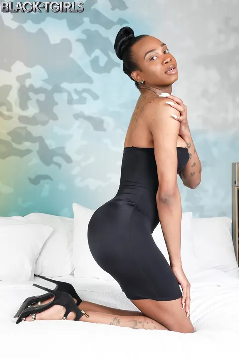 Thick Ebony Trans Woman Strips and Strokes Her Big Cock – photo 4 of 16