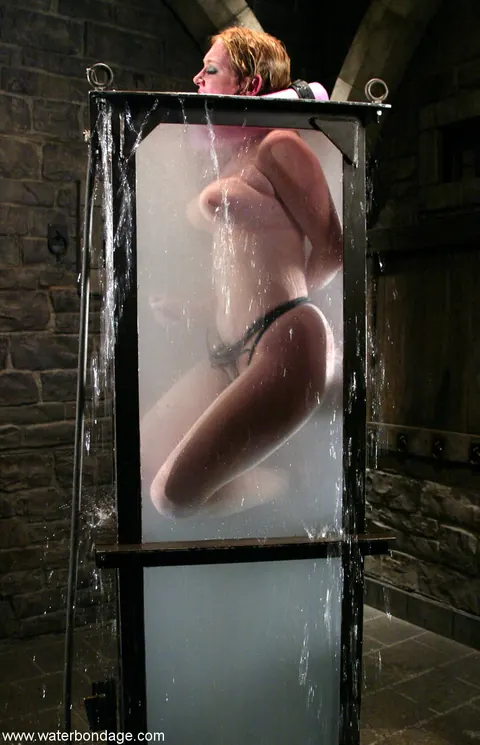 Dee Williams: Blonde PAWG in Panties Endures Water Bondage While Restrained – photo 11 of 21