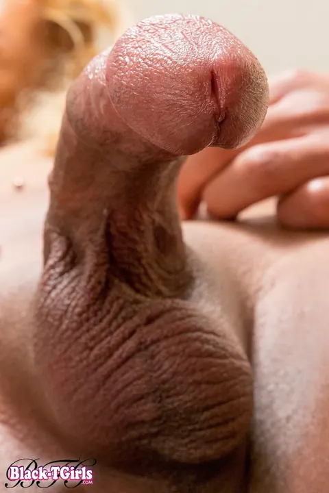 Ebony Blonde Trans Woman Strips Nude and Poses Bare – photo 13 of 16