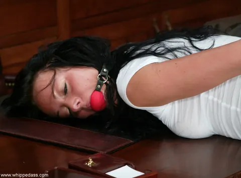 Melissa Lauren: Busty Brunette Restrained and Licked by Partner in the Office – photo 21 of 21