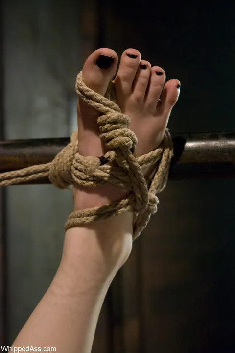 Claire Adams: Redhead with Natural Tits and Glasses Dominates in Bondage – photo 3 of 21