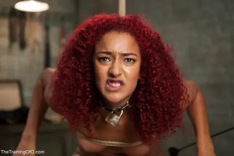 Daisy Ducati: Tall Ebony Redhead in Bondage Spreads Her Pussy – photo 14 of 20