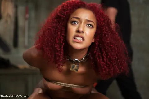 Daisy Ducati: Tall Ebony Redhead in Bondage Spreads Her Pussy – photo 15 of 20