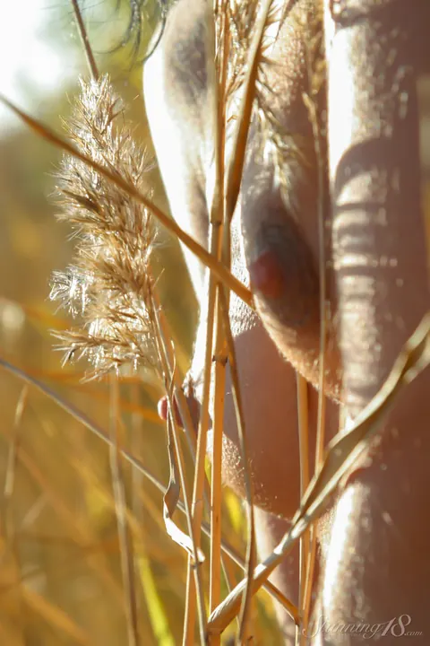 PAWG Brunette Bends Over and Spreads in Long Grass – photo 11 of 16